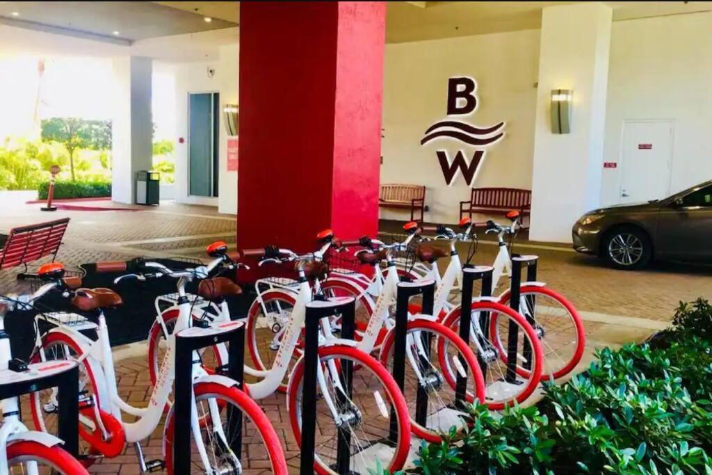 Apartment Lovely 2bed 1bath With Private Balcony 18th Floor Hallandale Beach